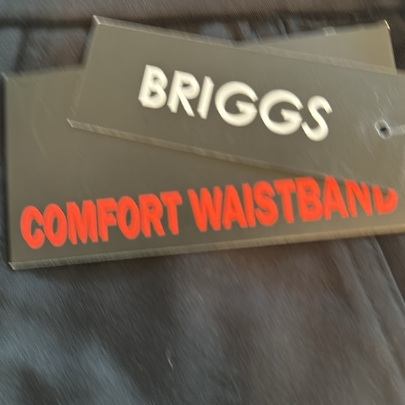 NWT Briggs Pull on Dress/Casual Pant 8 - Picture 14 of 16